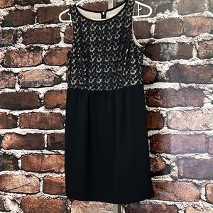 Ann Taylor 0 Loft Dress Black Tan Knee Length Lace Sleeveless Round Neck